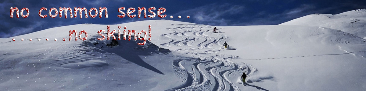 no common sense…no skiing